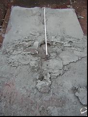 图3用于进一步分析的断裂壳