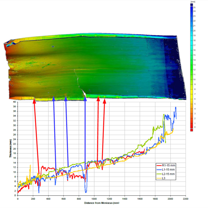 图11纵向截面与3D视图的比较结果