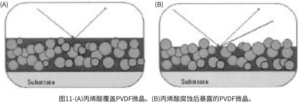 图11-(A)丙烯酸覆盖PVDF微晶。(B)丙烯酸腐蚀后暴露的PVDF微晶。