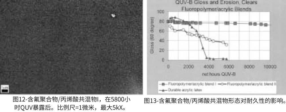 图12-含氟聚合物丙烯酸共混物I,在5800小时QUV老化测试后的情况;图13含氟聚合物丙烯酸共混物形态对耐久性的影响