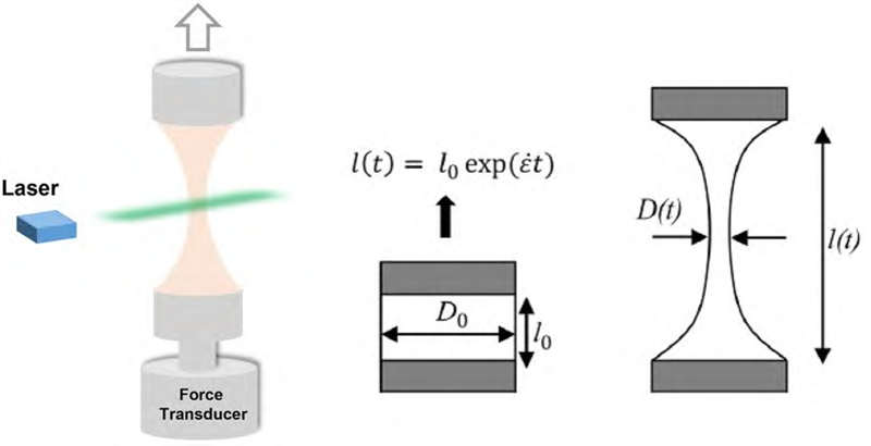 拉伸流变测试图1