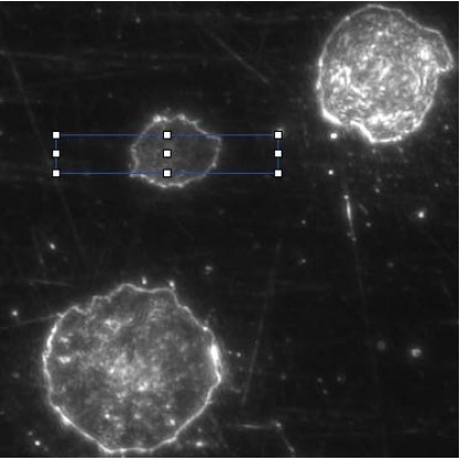 立式金相显微镜结果