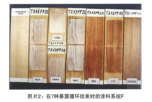 照片2:在7种暴露循环结束时的涂料系统F