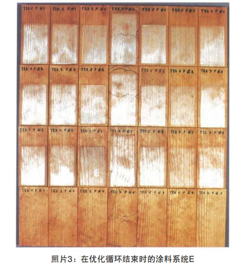 照片3:在优化循环结束时的涂料系统E