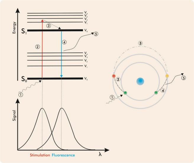 SITA析塔表面清洁度仪原理