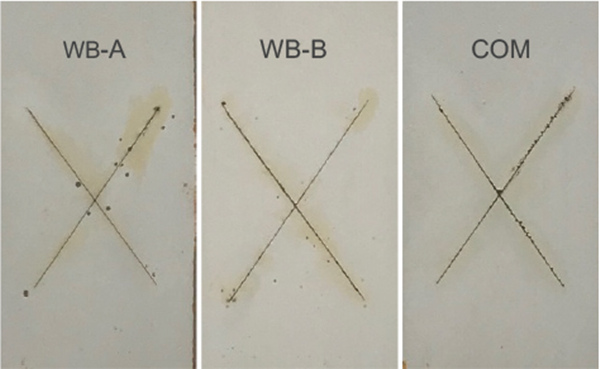 图 7显示了 MC #1、MC #2 和 MC #3 系统在盐雾试验约 1000 小时后和使用 800 粒度砂纸去除表面锈迹后的面板图像