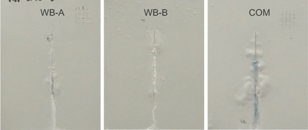 图11显示这些系统在盐雾试验约 1000 小时后的面板图像