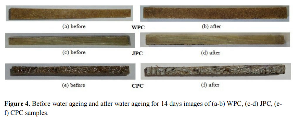 图 4(a) 和 4(b) 显示了WPC 样品在蒸馏水中老化 14 天前后的情况
