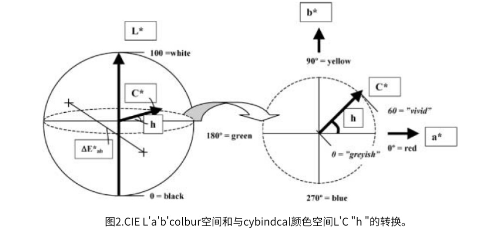 图2.CIE L'a'b'colbur空间和与cybindcal颜色空间L'C "h "的转换