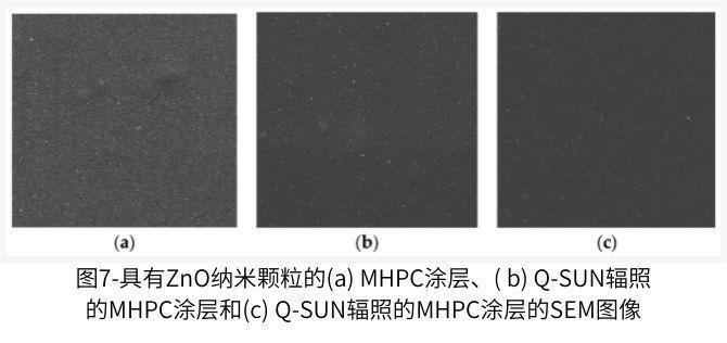 图7显示了包含ZnO纳米颗粒的涂层的SEM图像